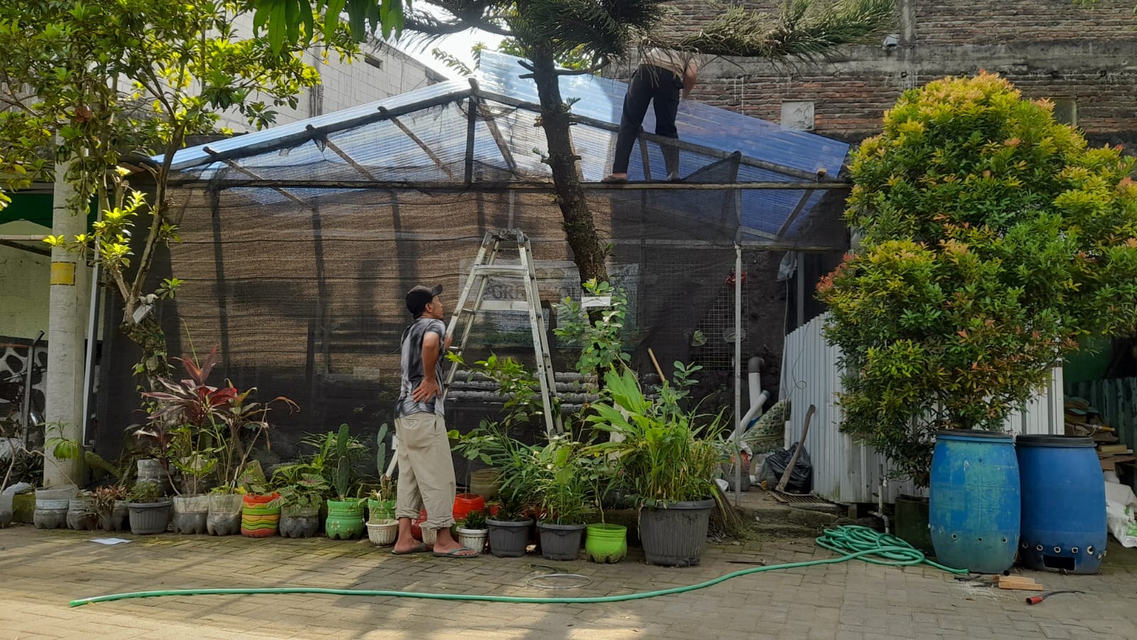 Dukung Program Adiwiyata, MTsN 9 Bantul Perbaiki Green House